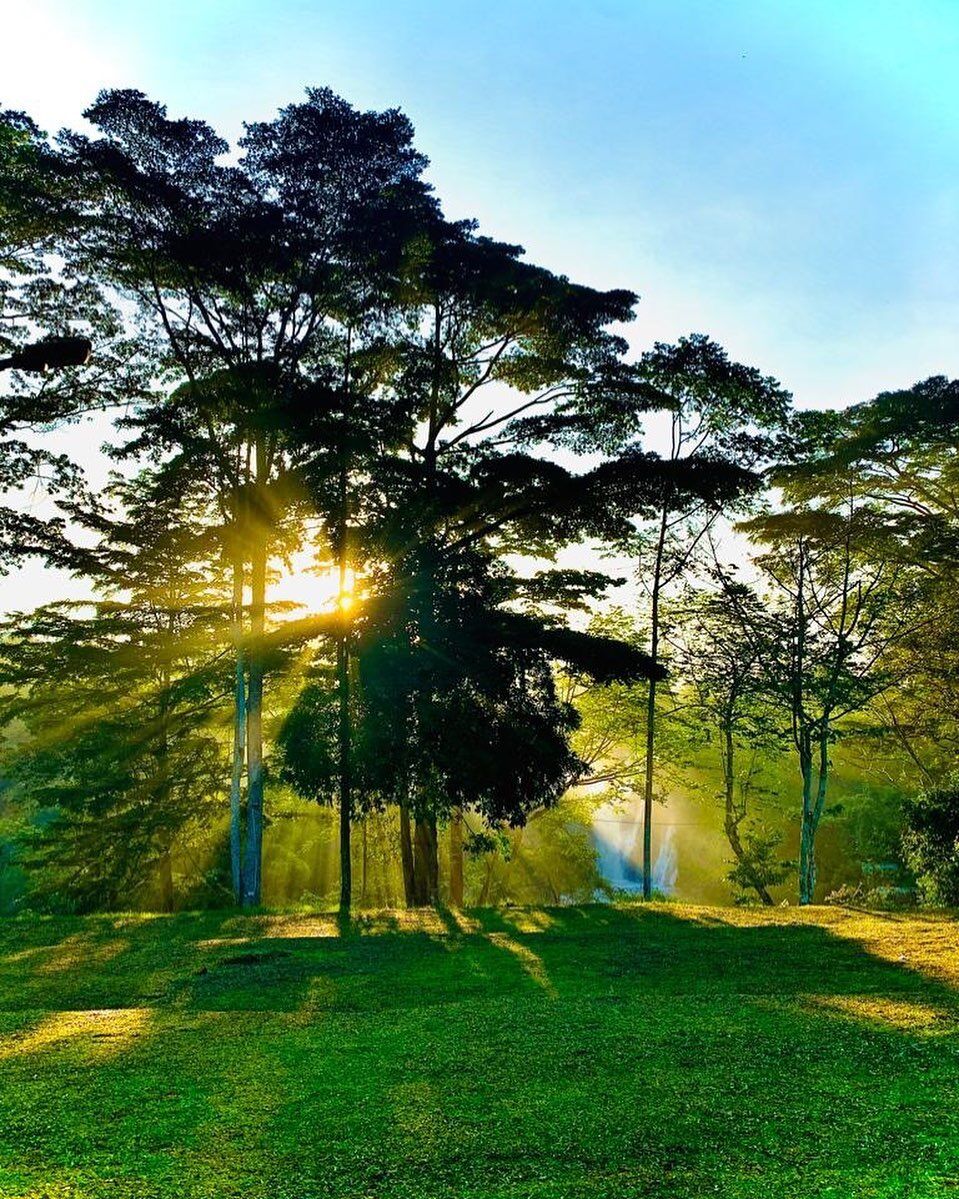 Uganda sunrise rays through the forest and Ssezibwa Forest in the background. Photography by Ssezibwa Falls Resort Mukono Uganda