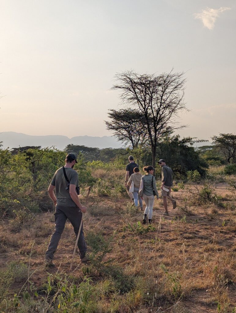 Guests at Namoni Lodge explore the savanna of Kidepo Valley National Park, Uganda, enjoying walking safaris and wildlife spotting near tented accommodations.