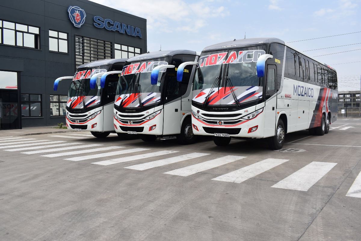 Photograph showing Mozaico Buses