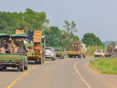 The Uganda Wildlife Authority successfully relocated southern white rhinos from Ziwa Rhino Sanctuary to Ajai Wildlife Reserve