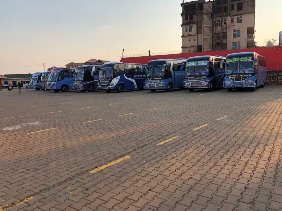 Photograph showing a fleet of the Perfect Coaches in Kampala, Uganda