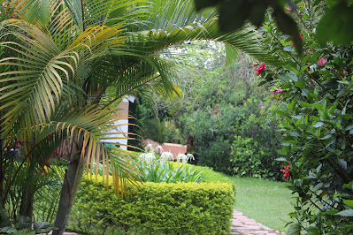 Gardens Photo Montane safari Hotel Fort Portal, Western Region, Uganda 1