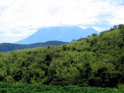 Photograph taken from Echuya Central Forest Reserve located between Kisoro and Rubanda Districts in Western Uganda