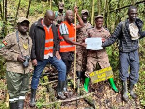 Uganda Wildlife Authority (UWA) hands over the site to Powerland International LTD for Uganda’s first multi-day Virunga volcanoes trail, connecting Muhabura, Gahinga, and Sabinyo with overnight cabins for epic sequential summits
