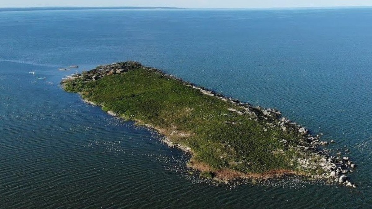 Musambwa Island Lake Victoria in Uganda