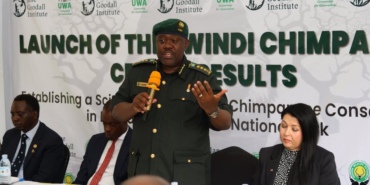 Dr. James Musinguzi, Executive Director of Uganda Wildlife Authority, announces the groundbreaking results of the first-ever Bwindi Chimpanzee Census
