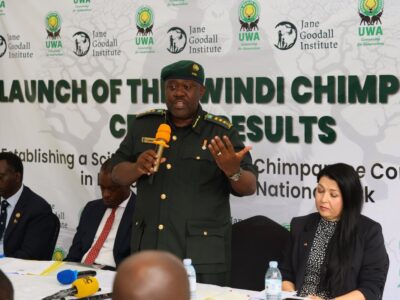 Dr. James Musinguzi, Executive Director of Uganda Wildlife Authority, announces the groundbreaking results of the first-ever Bwindi Chimpanzee Census