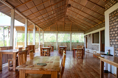 Restaurant Photo Chimpnest Safari Lodge Kibale Forest National Park Uganda Western Region 1