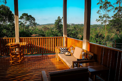 Restaurant Photo Chimpnest Safari Lodge Kibale Forest National Park Uganda Western Region