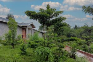 Stone cottage surrounded by lush gardens at the new Mirima Kibale Lodge