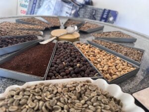 An array of roasted coffee beans, light and dark roasts, and fresh grounds arranged for sampling, highlighting the diversity of flavors in specialty coffee