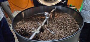 Ugandan coffee beans being roasted to perfection. This hands-on process highlights the quality and expertise behind Uganda’s world-renowned specialty coffee, now taking center stage as the Portrait Country at World of Coffee Brussels 2026
