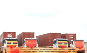 Ugandan and Chinese flags fly high as trucks loaded with the first containers of Deshiburg Uganda canned pineapples prepare for export to China. A landmark moment for Uganda’s agro-industrialization