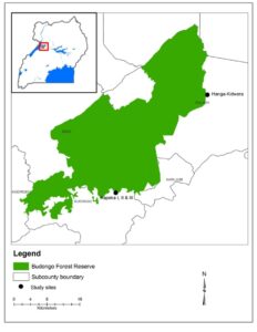 Map of the Budongo Central Forest Reserve located in Northwestern Uganda