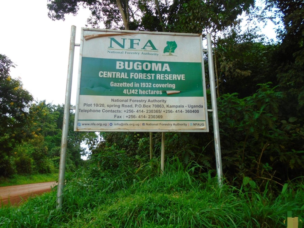 The official entrance to Bugoma Central Forest Reserve, one of Uganda’s emerging eco-tourism destinations, offering exceptional chimpanzee tracking, birdwatching, and nature experiences
