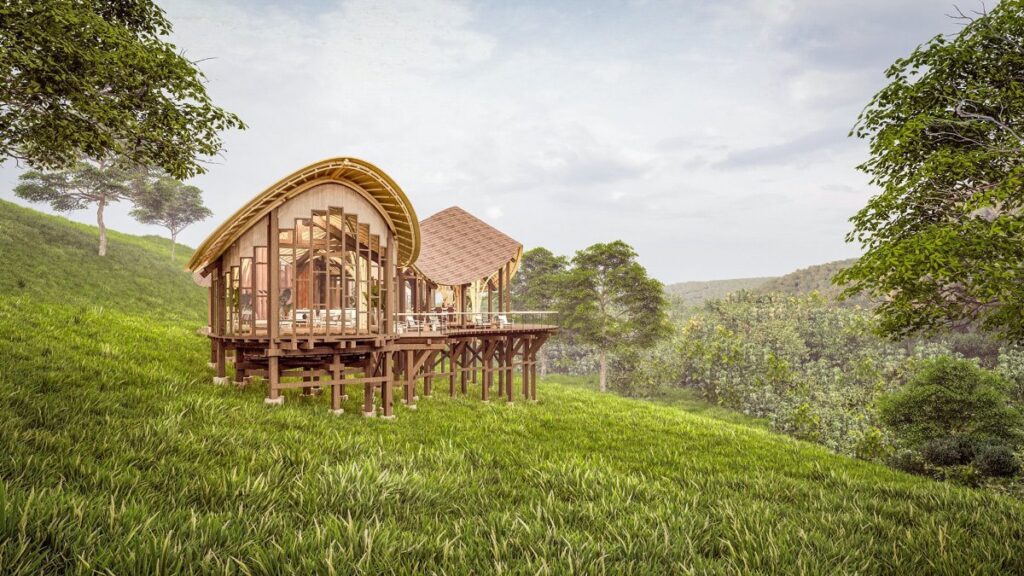 Organic architecture meets the forest at Erebero Hills Lodge. One of the lodge’s elegant suites perched on stilts, offering guests immersive views of Bwindi’s ancient rainforest canopy