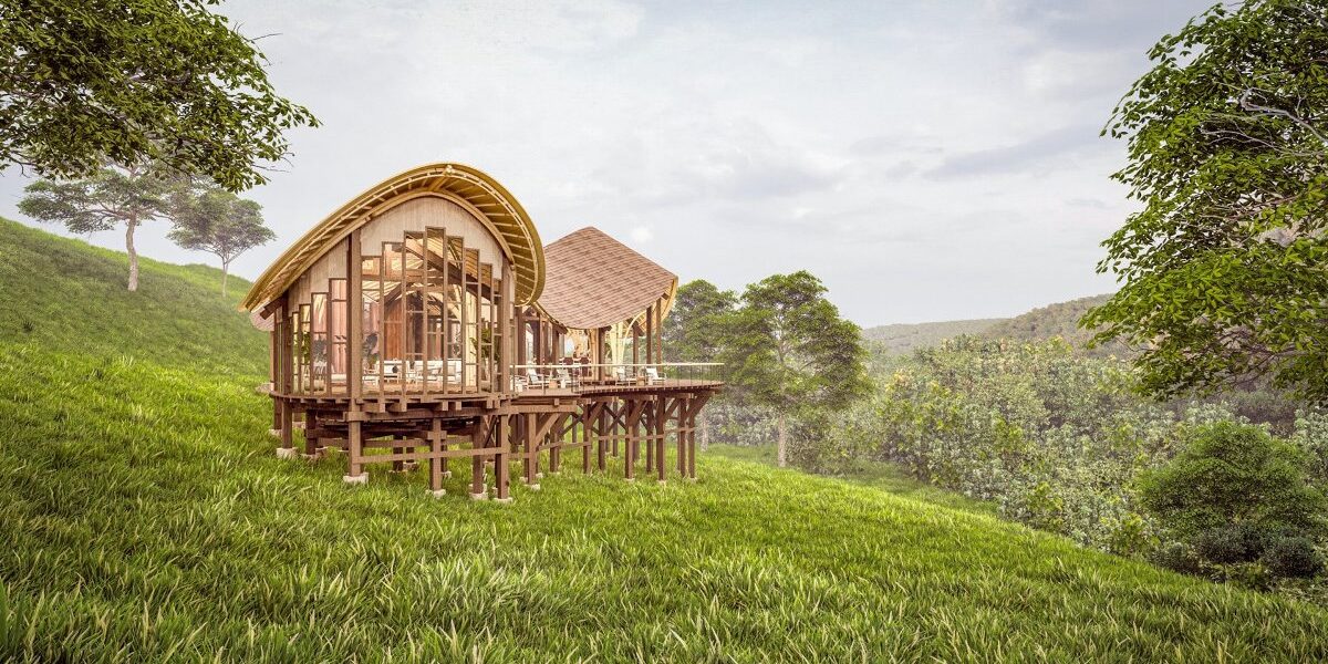 Organic architecture meets the forest at Erebero Hills Lodge. One of the lodge’s elegant suites perched on stilts, offering guests immersive views of Bwindi’s ancient rainforest canopy