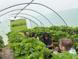 Uganda Tourism Board delegation members interact with local farmers inside a strawberry greenhouse in Scotland, gaining practical insights into sustainable agricultural practices and agro-tourism experiences