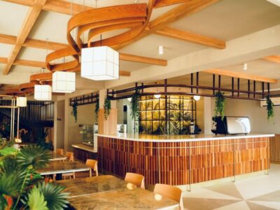 The main dining area and service counter at Café Shires in Tororo, featuring a sculptural curved wooden ceiling, hanging cube pendant lights, and abundant indoor greenery