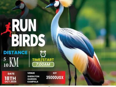 Promotional poster for Run for Birds 2026, organised by Avian Conservation Uganda Run 4 Birds 2026