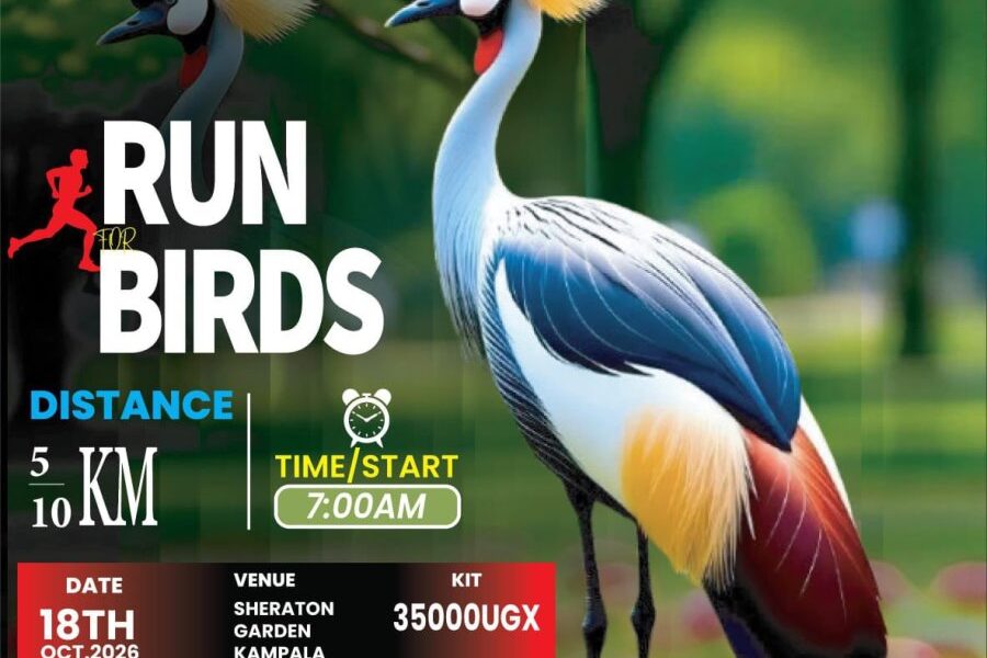 Run 4 Birds 2026