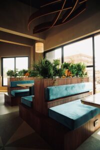 Tiered wooden booth seating upholstered in teal velvet, topped with tropical plants and flowers, overlooking the street through large windows at Café Shires