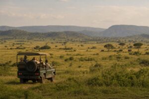 Guests enjoy a classic game drive across the open savannah near Rift Craters Eco Lodge, with elephants grazing against the backdrop of the rolling hills of Queen Elizabeth National Park