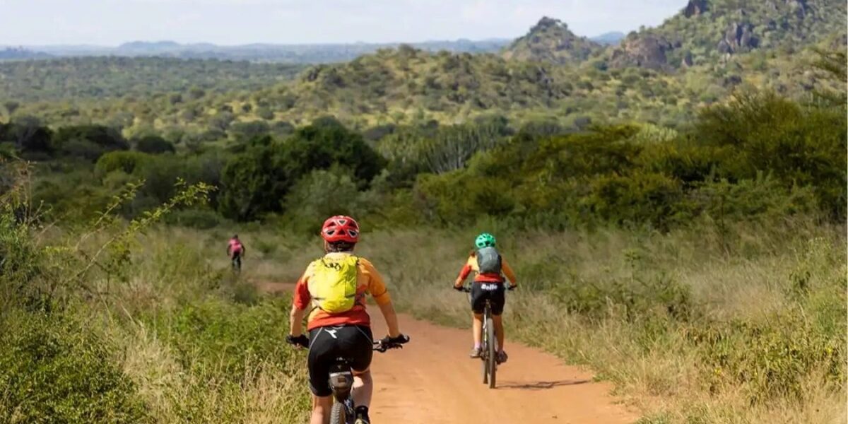 Biking Tour