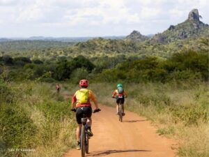Biking Tour